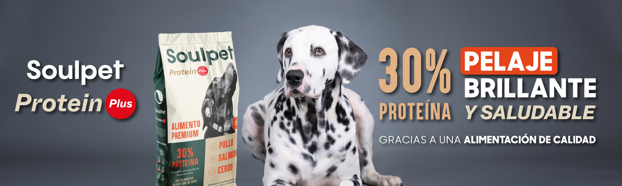 protein-plus