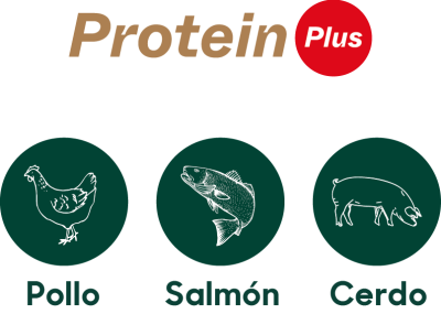 soulpetprotein-plus